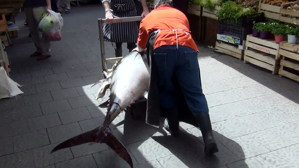 Tun p&aring; vej til fiskehandleren
