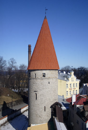 T&aring;rn i Tallinns bymur