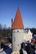 T&aring;rn i Tallinns bymur