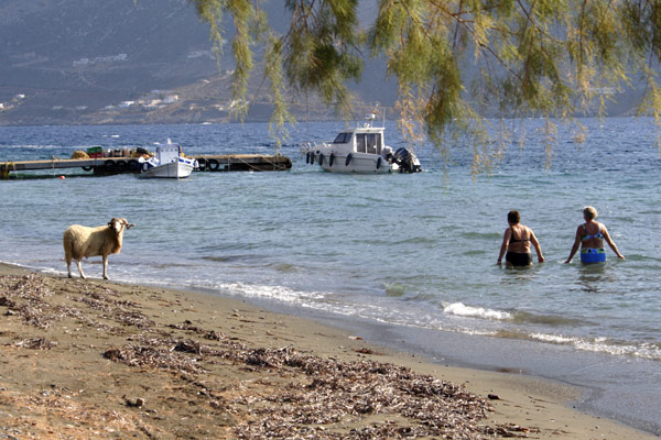 V&aelig;dder p&aring; stranden
