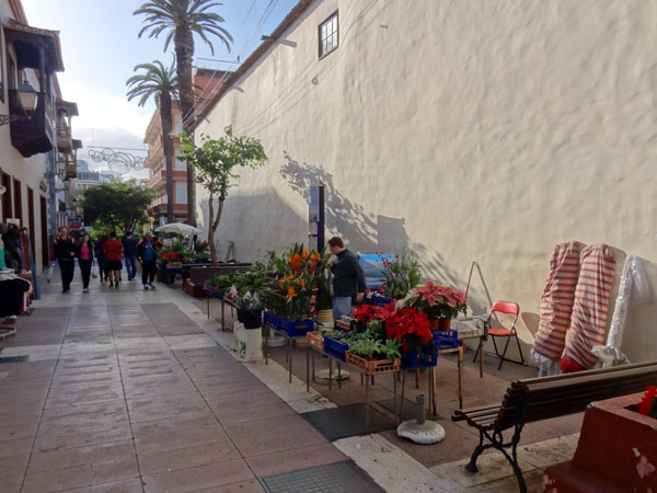 Blomsters&aelig;lgere i Puerto de la Cruz