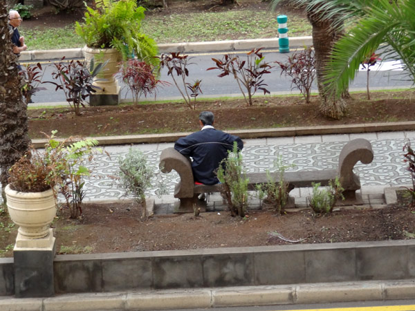 Tiggeren p&aring; b&aelig;nken