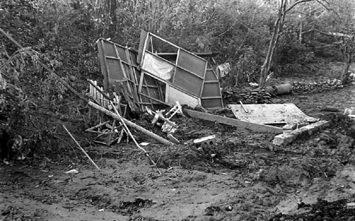Debris after hurricane Hazel, Canada 1954