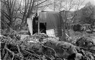 Debris tossed by hurricane Hazel